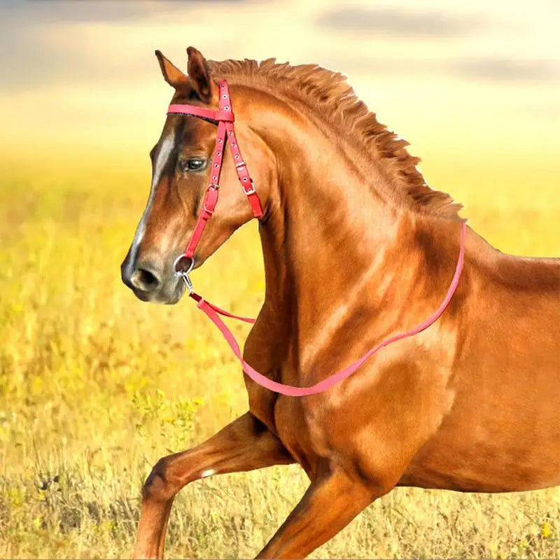 Horse Bridle Adjustable Snaffle Noseband Nylon Equine Noseband Reins for Women Men Soft Lined Trail Riding Equestrian Supplies