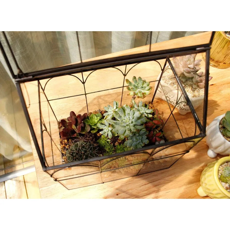 Glass Geometric Plant Terrarium for Succulent and Air Plants Indoor Home Garden and Office Decoration Modern Black House Design