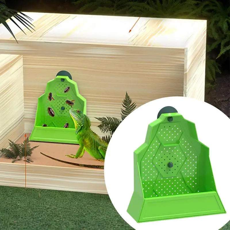 Reptile Feeder Gecko Food Feeding Dish Tank Accessories Anti-Escape Hunting Bowl For Chameleon Frog Snake Spider Amphibian