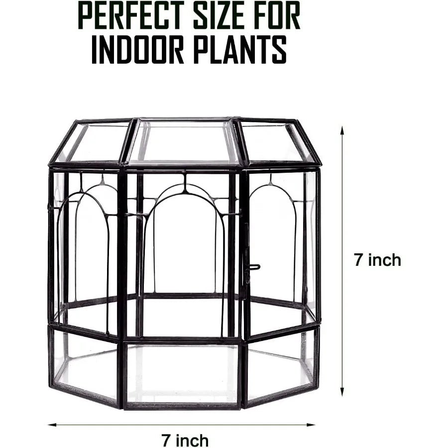 Handcrafted Large Glass Terrarium as a Stunning Indoor Centerpiece for Succulents Cacti Air Plants and Miniature Fairy Gardens