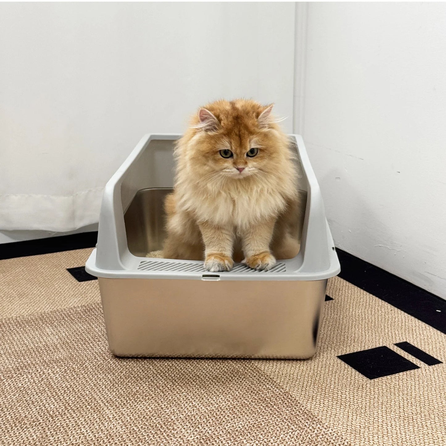 Large High-Sided Stainless Steel Cat Litter Box with Spoon for Small to Medium Sized Kittens Open Cats Litter Pan Easy Clean