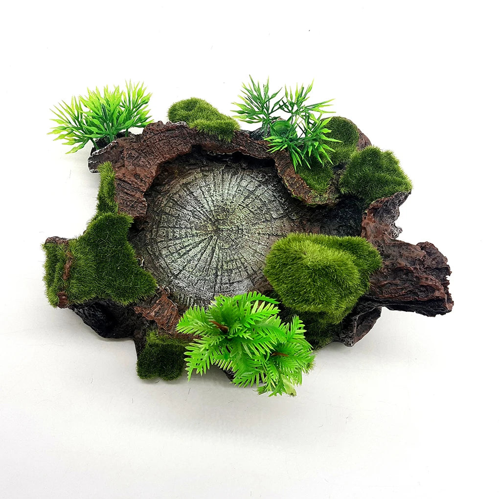 Sturdy And Reliable Reptile Feeder Bowl For Feeding Sessions Easy To Clean Reptile Food Water Dish