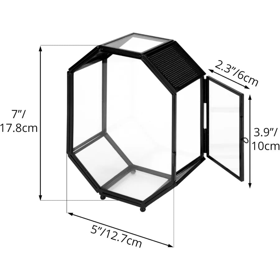 Mini Glass Terrarium with Vent and Door for Succulents Plants and Jumping Spiders Insect Habitat in Octagon Shape Small Closed