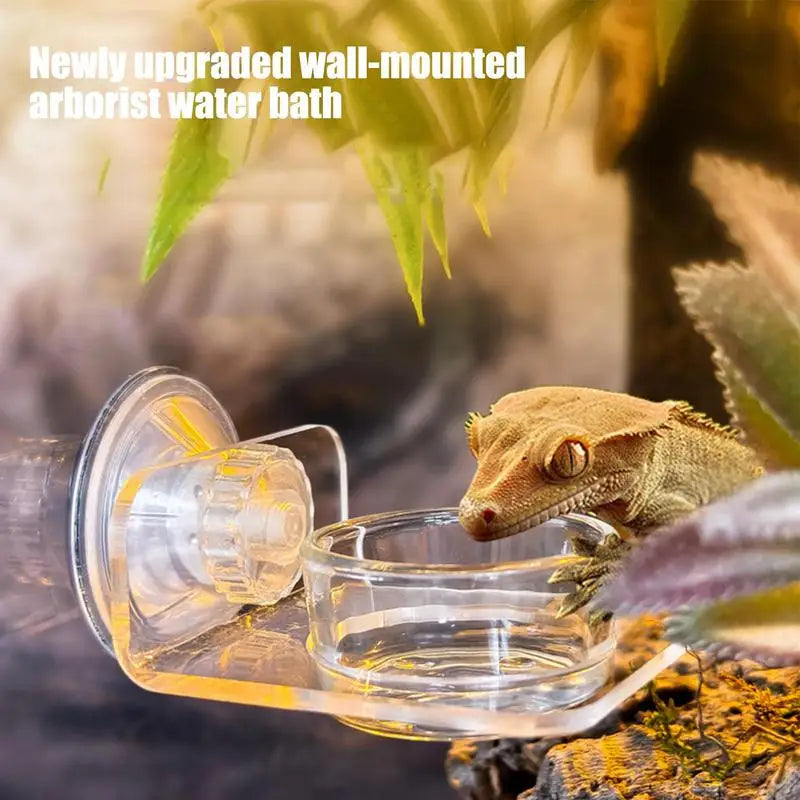 Gecko Feeding Dish Reptiles Feeder Bowl with Suction Cup Acrylic Material Easy Installation pets food bowls for Lizard Tree Frog