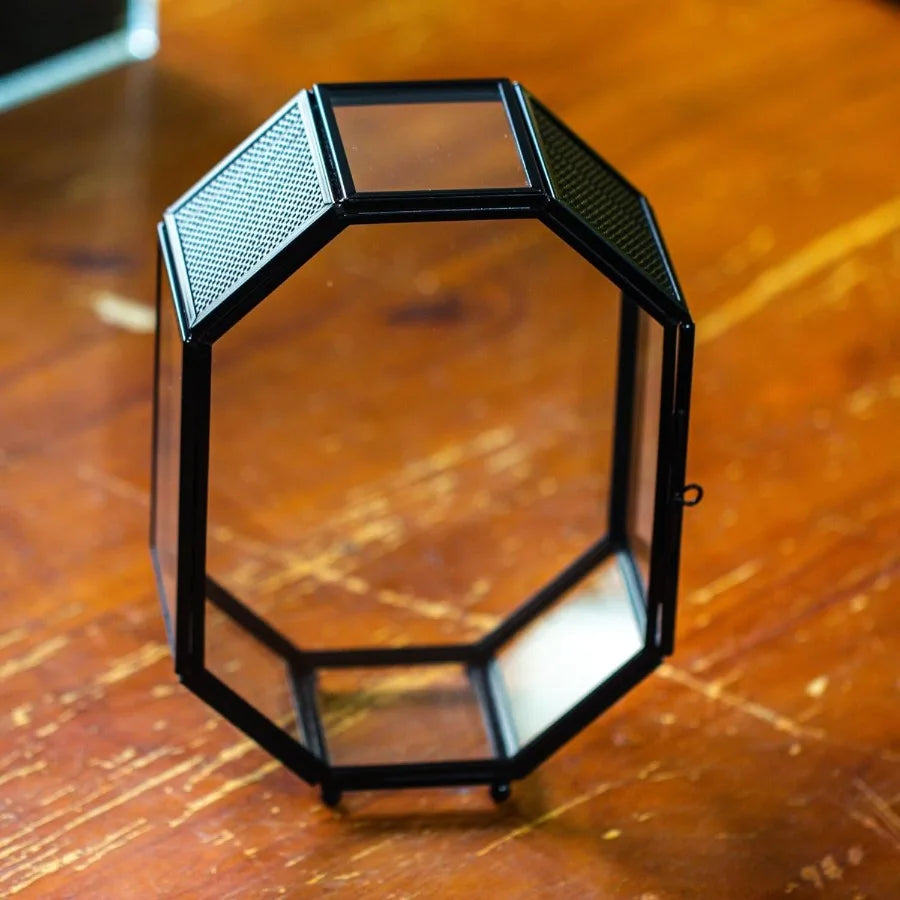 Mini Glass Terrarium with Vent and Door for Succulents Plants and Jumping Spiders Insect Habitat in Octagon Shape Small Closed