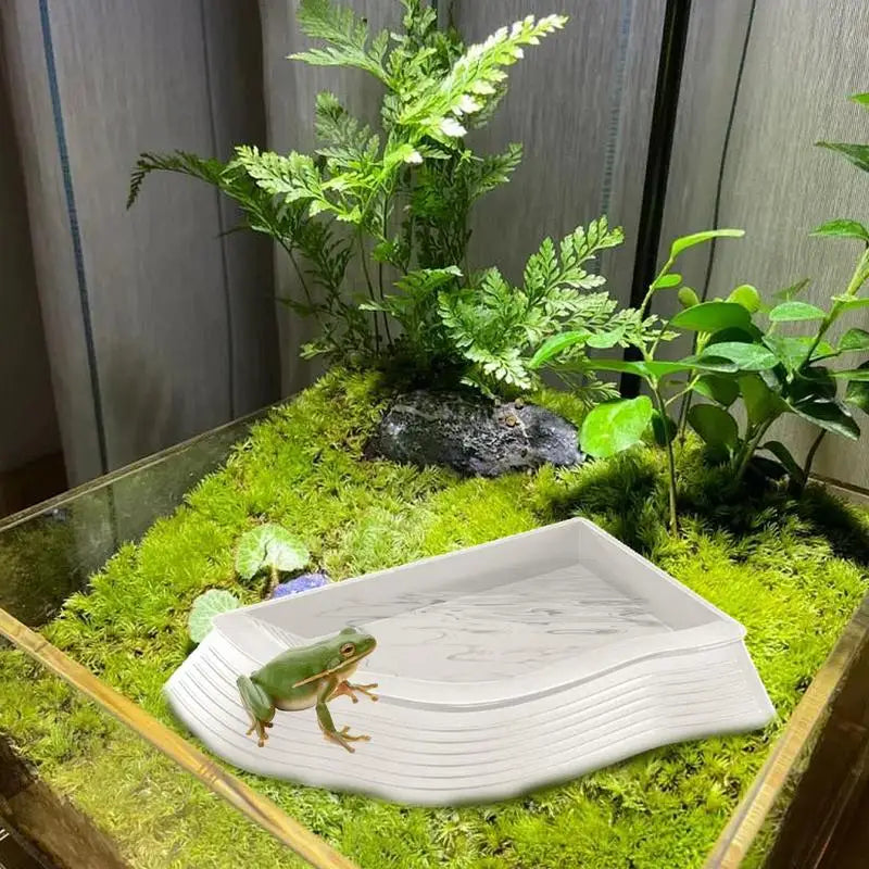 Reptile Water Bowl Anti-Slip Turtle Bathing Pool Tortoise Feeder Tortoise Feeding Dish for Hamster Tortoise Water Bowl