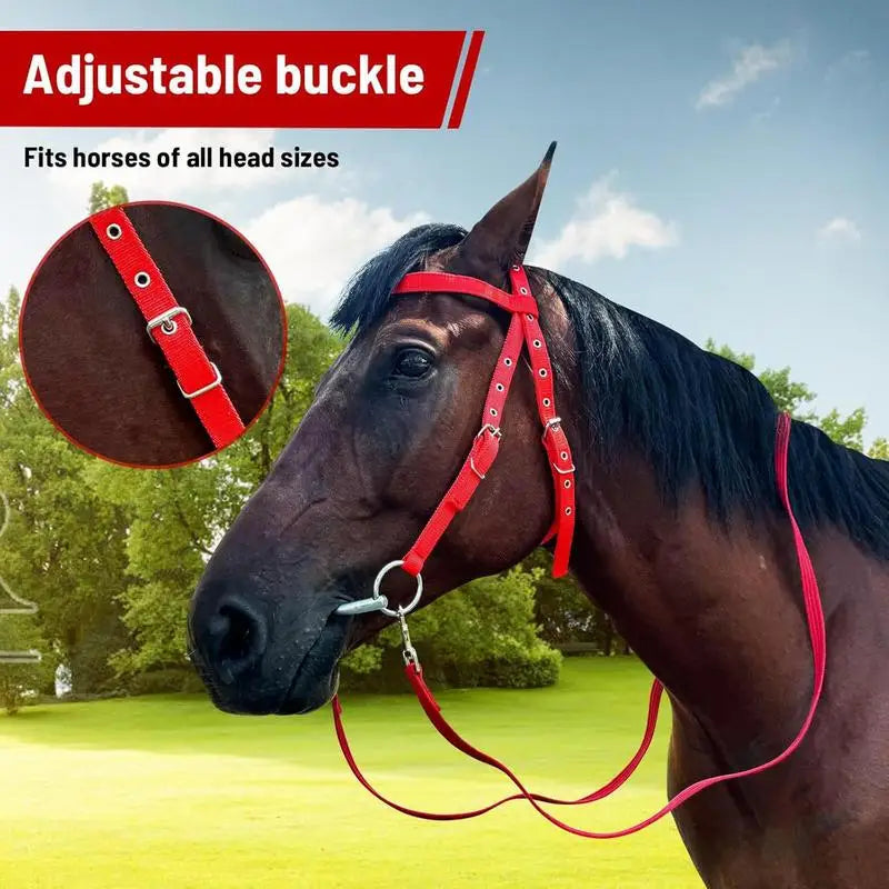 Horse Bridle Adjustable Snaffle Noseband Nylon Equine Noseband Reins for Women Men Soft Lined Trail Riding Equestrian Supplies
