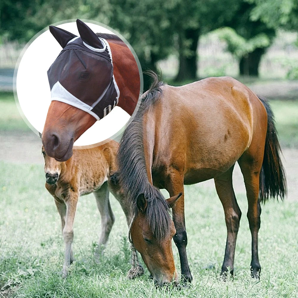 Breathable Horse Summer Eye Shield Elastic Mesh Horse Face Shields Comfortable Fly Mask for Horses for Small Medium Large Horses