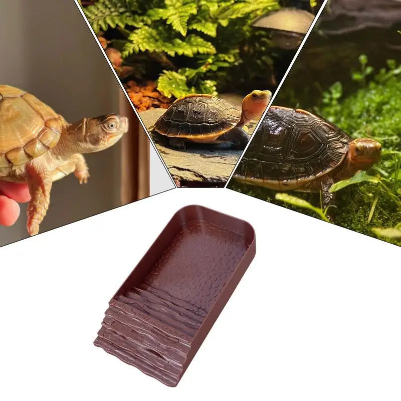 Tortoise Water Bowl Reptile Water Bowl Reptile Bathing Pool Tortoise Feeder Tortoise Feeding Dish for Hamster Tortoise Snake