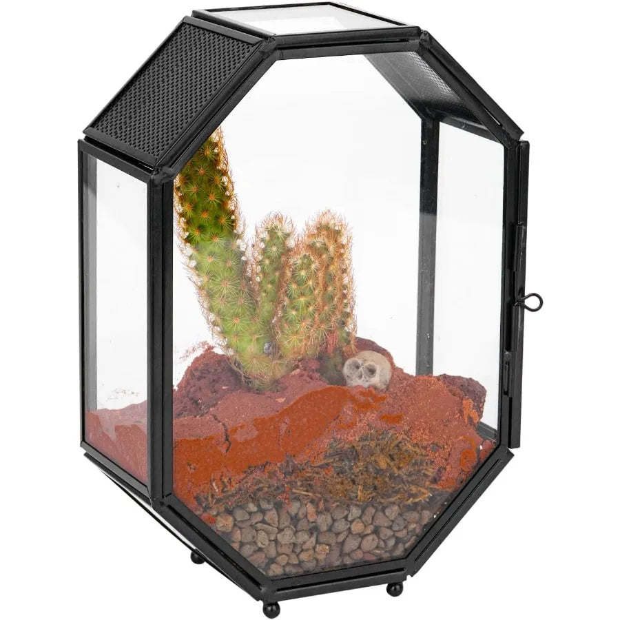 Mini Glass Terrarium with Vent and Door for Succulents Plants and Jumping Spiders Insect Habitat in Octagon Shape Small Closed