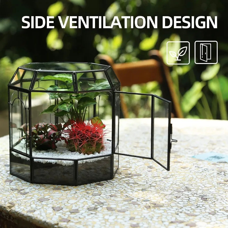 Handcrafted Large Glass Terrarium as a Stunning Indoor Centerpiece for Succulents Cacti Air Plants and Miniature Fairy Gardens