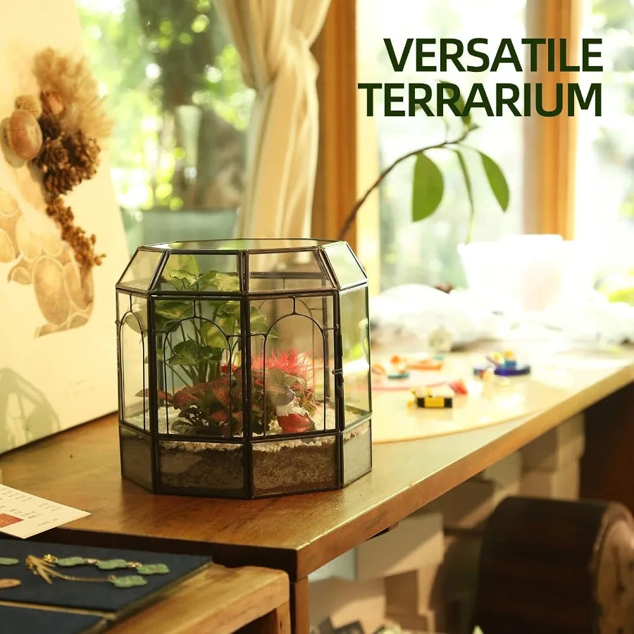 Handcrafted Large Glass Terrarium as a Stunning Indoor Centerpiece for Succulents Cacti Air Plants and Miniature Fairy Gardens