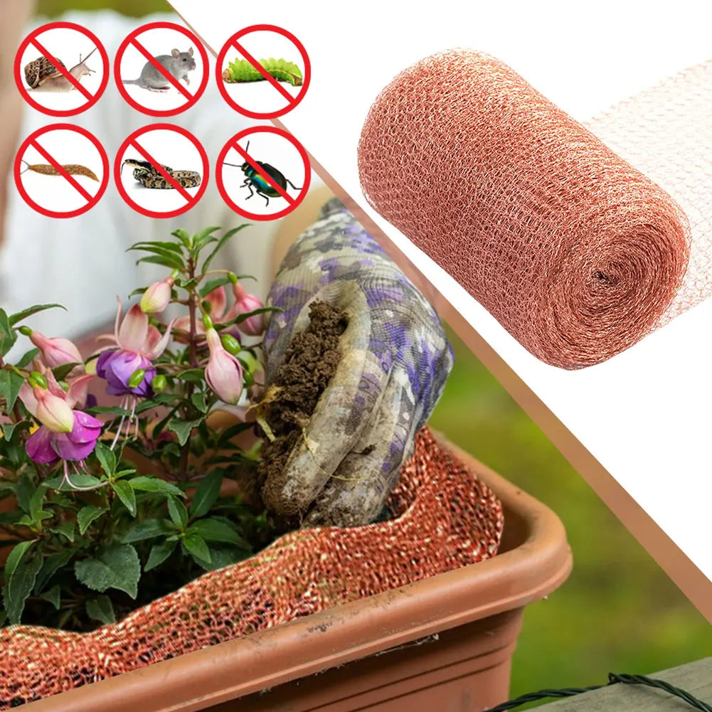 Signal Shielding Net Rust Proof Rodent Copper Wire Net Wear Resist Protected Plant Copper Net for Protecting Vegetables Fruits