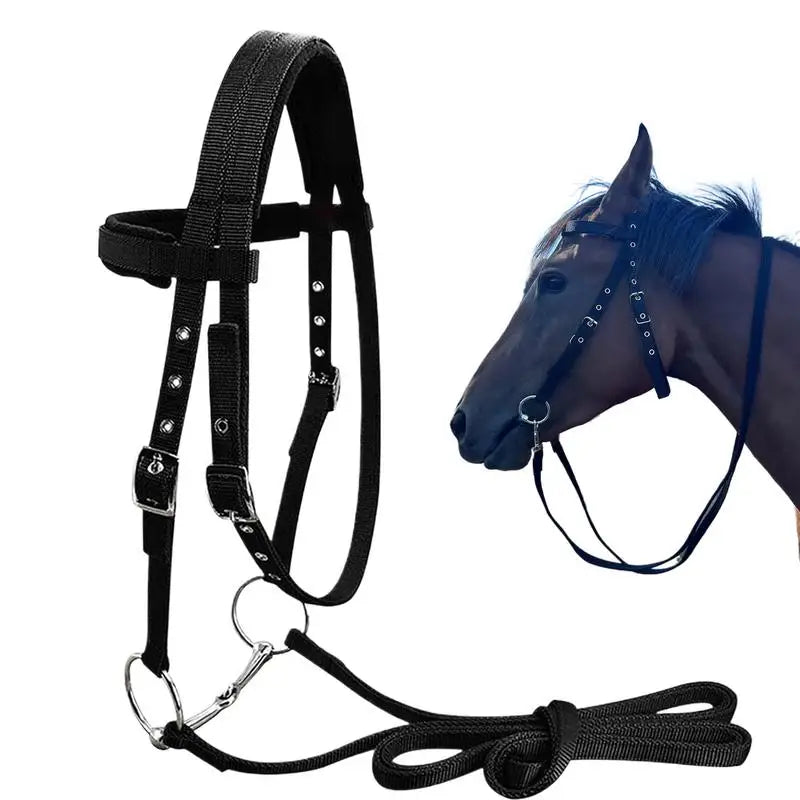 Horse Bridle Headband Chin And Throat Halters For Horses With 3 Adjustable Buckles Equestrian Training Throat And Chin Leading