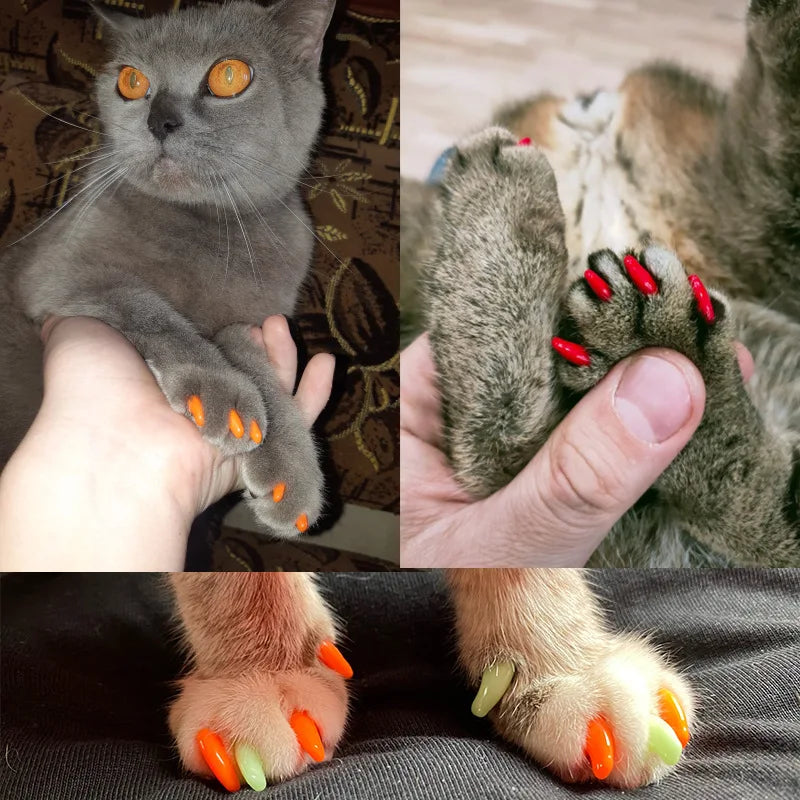 New Fashion Colorful Cat Nail Caps Soft Cat Claw Soft Paws 40 PCS/lot with Free Adhesive Glue Size XS-L Gifts for Pet Dog