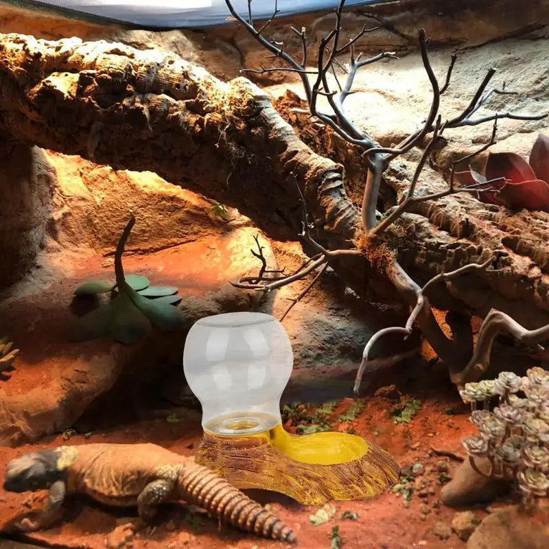 Amphibious Reptile Feeder Spider Bird Plastic Reptile Feeding Basin Turtle Lizard Reptile Bowl Turtle Water Dispenser